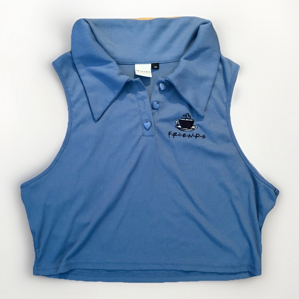 Friends Blue Ribbed Knit Crop Top - 2XL